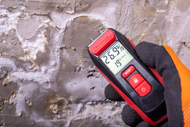 Best Localized Mold Remediation (e.g., coastal areas, humid climates) in Calvert City, KY
