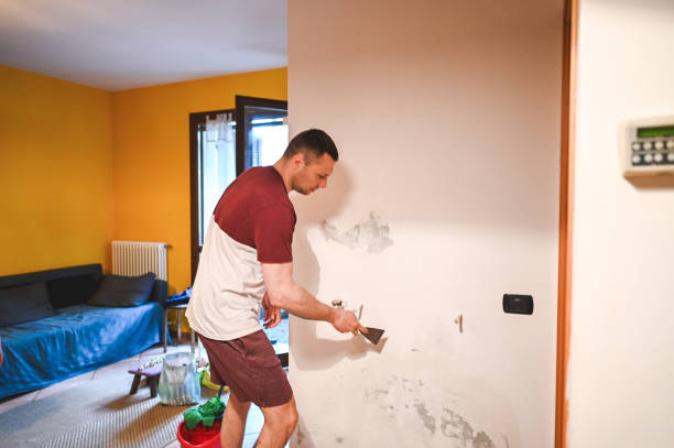 Best Attic Mold Remediation in Calvert City, KY